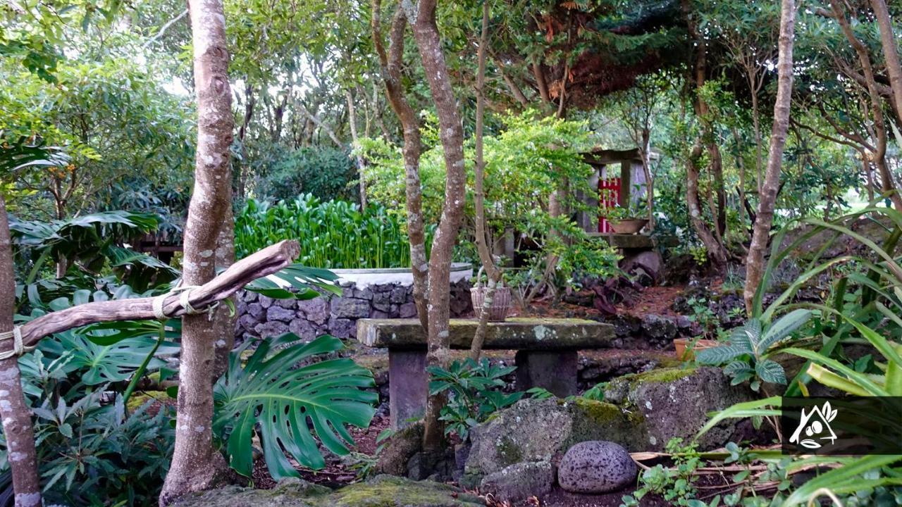 Quinta Do Paraiso Porto Martins Εξωτερικό φωτογραφία